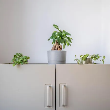 Casa Mouzi By Lovelystay Prázdninový dům Matosinhos (Porto)